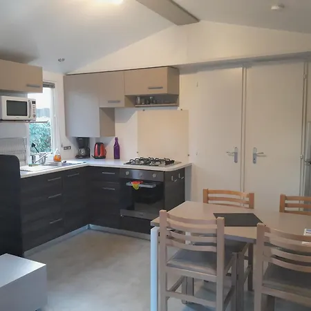 度假居 Mobilhome 4 Pers La Palmyre 莱马特