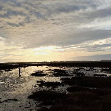 Ferienhaus Mobilhome 4 Pers La Palmyre