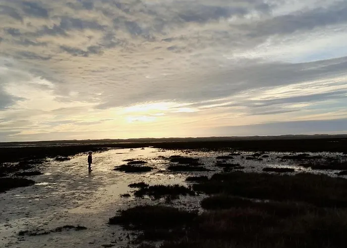 Holiday home Mobilhome 4 Pers La Palmyre